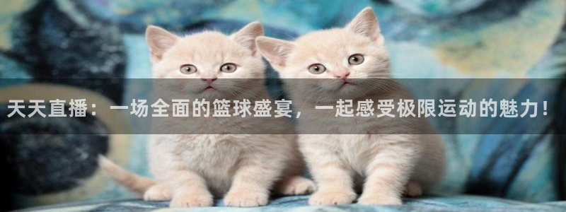蓝鲸鱼体育直播：天天直播：一场全面的篮球盛宴，一起感受极限运动的魅力！