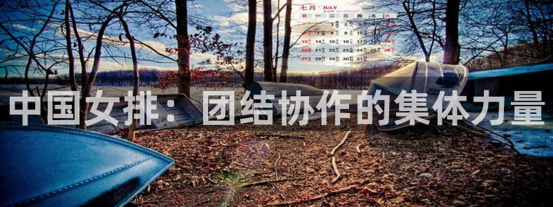 蓝鲸体育直播入口：中国女排：团结协作的集体力量