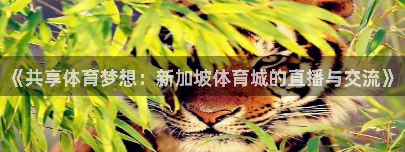 蓝鲸直播苹果下载：《共享体育梦想：新加坡体育城的直播与交流》