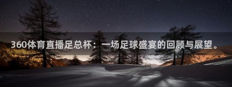 蓝鲸体育高清直播官网入口：360体育直播足总杯：一场足球盛宴的回顾与展望。
