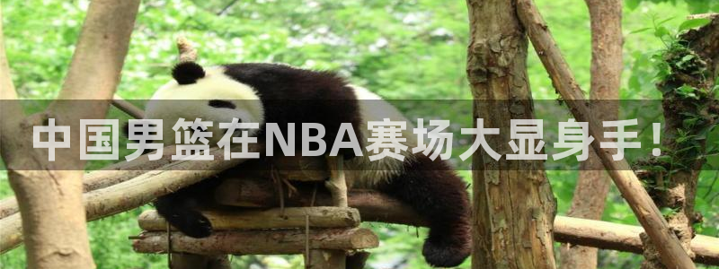 蓝鲸鱼直播app：中国男篮在NBA赛场大显身手！
