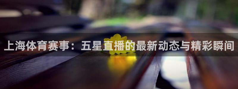 蓝鲸体育直播下载：上海体育赛事：五星直播的最新动态与精彩瞬间
